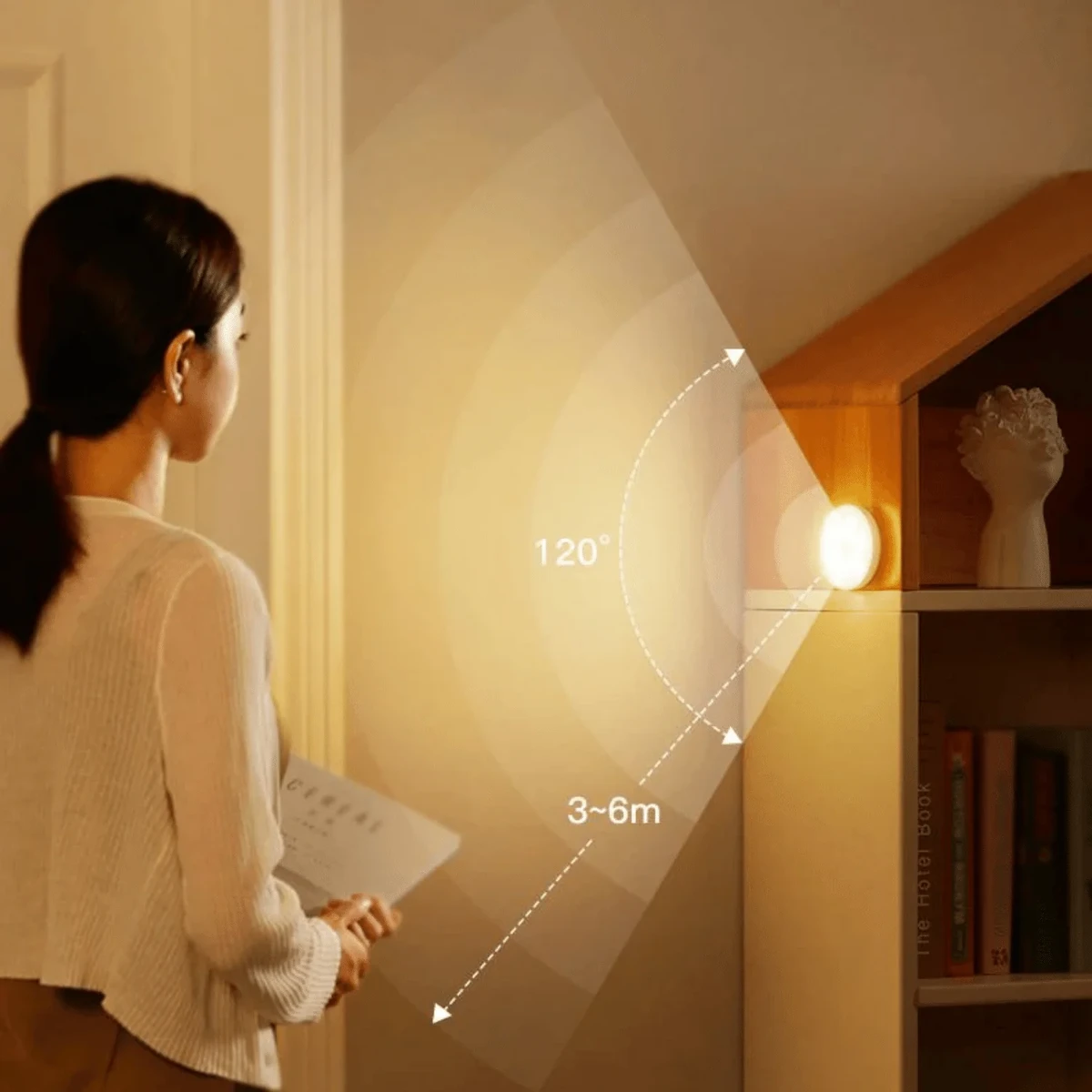 Motion Sensor Light